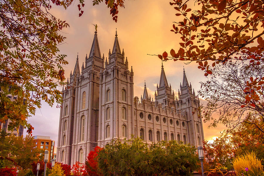 Come, Let Us Go Up! September 25-29 2026 Women of Covenant Leadership Temple Trip