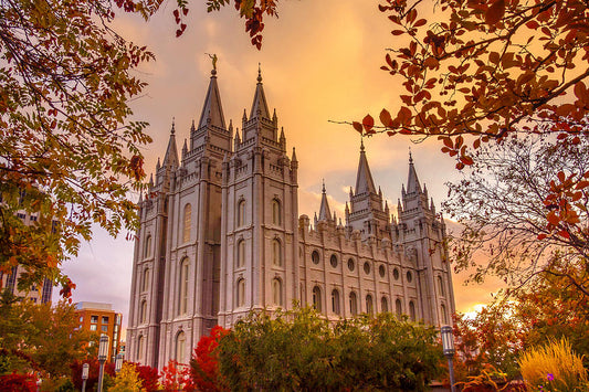 Come, Let Us Go Up! September 25-29 2026 Women of Covenant Leadership Temple Trip